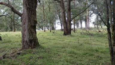 Farm For Sale - NSW - Tenterfield - 2372 - Embrace Rural Bliss  (Image 2)