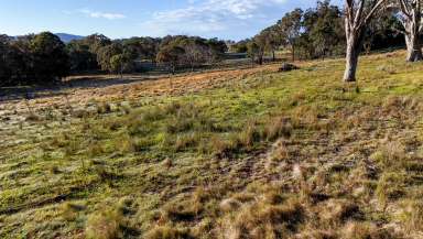 Farm For Sale - NSW - Tenterfield - 2372 - Peaceful Countryside Escape  (Image 2)