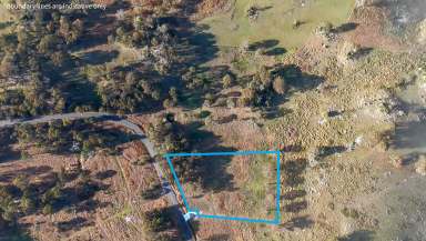 Farm For Sale - NSW - Tenterfield - 2372 - Peaceful Countryside Escape  (Image 2)