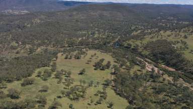 Farm For Sale - NSW - Tenterfield - 2372 - "Chimney Block"  (Image 2)