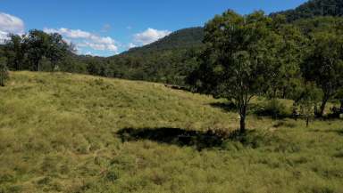 Farm For Sale - NSW - Tenterfield - 2372 - "Chimney Block"  (Image 2)