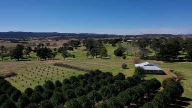 Farm For Sale - NSW - Tenterfield - 2372 - Beautiful Family Oasis  (Image 2)