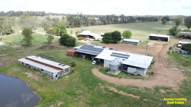 Farm For Sale - QLD - Benair - 4610 - HIGH QUALITY FARMING PROPERTY WITH RENOVATED QUEENSLANDER  (Image 2)