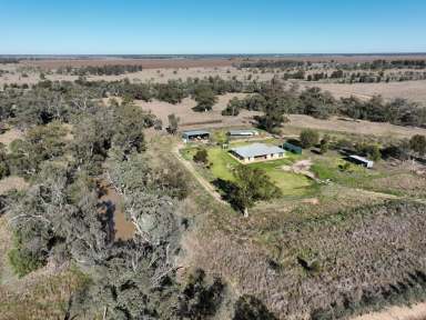 Farm For Sale - NSW - Collie - 2827 - Marthaguy Creek Gem  (Image 2)