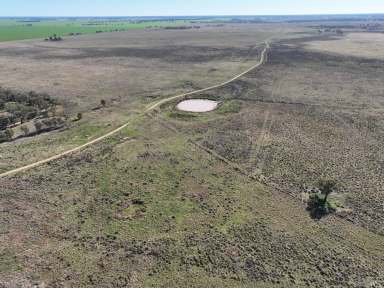 Farm For Sale - NSW - Collie - 2827 - Marthaguy Creek Gem  (Image 2)