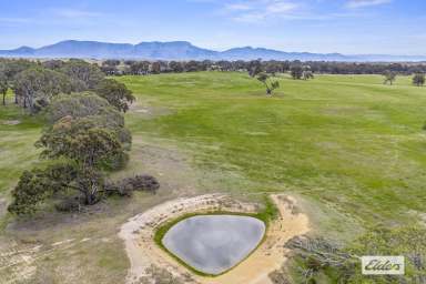 Farm For Sale - VIC - Moyston - 3377 - Majestic Grampians Mountain Views - 100 Acre Grazing/Lifestyle  (Image 2)