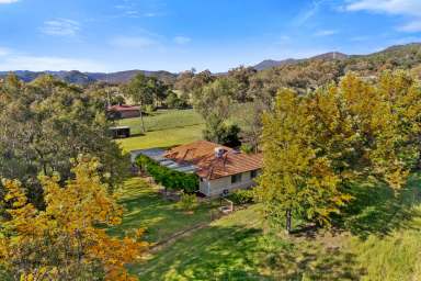 Farm For Sale - NSW - Moonbi - 2353 - Well Positioned Country Lifestyle !!!  (Image 2)