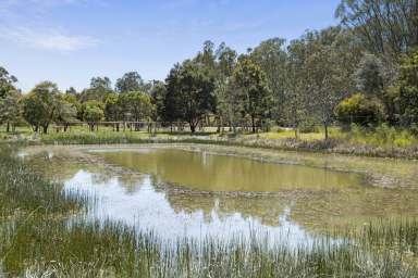 Farm For Sale - VIC - Clunes - 3370 - For the horse enthusiast  (Image 2)