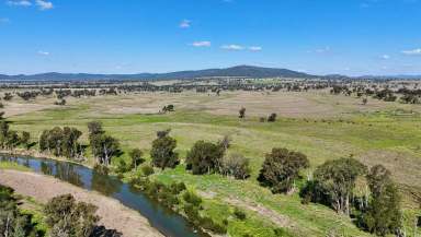 Farm Auction - NSW - Bingara - 2404 - HORTON RIVER GRAZING  (Image 2)