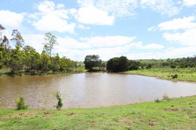 Farm For Sale - QLD - Wondai - 4606 - Home of Double Bar Limousin Stud  (Image 2)