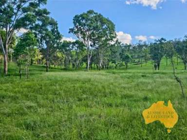 Farm For Sale - QLD - Cooyar - 4402 - Rural Escape on the edge of Cooyar (Just over 1hr to Toowoomba)  (Image 2)