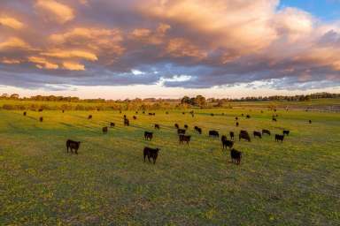 Farm For Sale - NSW - Tallong - 2579 - Highlands Country Retreat  (Image 2)