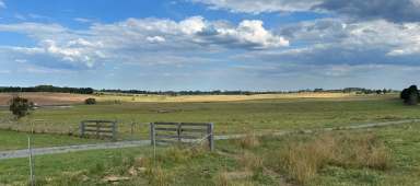 Farm For Sale - NSW - Tallong - 2579 - Highlands Country Retreat  (Image 2)