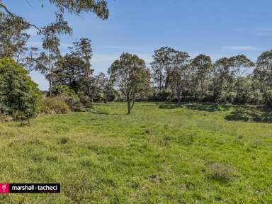 Farm For Sale - NSW - Central Tilba - 2546 - Land for Sale: 1.75 Acres in Historic Central Tilba  (Image 2)