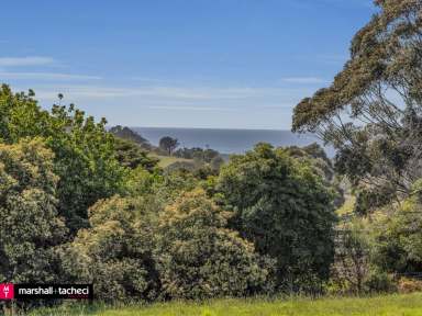 Farm For Sale - NSW - Central Tilba - 2546 - Land for Sale: 1.75 Acres in Historic Central Tilba  (Image 2)