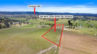 Farm For Sale - NSW - Portland - 2847 - Stunning 4.59 Acre Block – Build Your Dream Escape!  (Image 2)