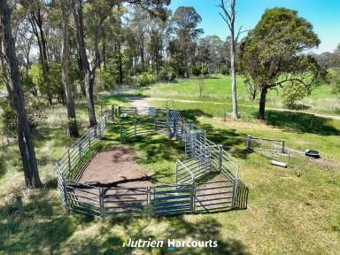 Farm For Sale - VIC - Toongabbie - 3856 - 100 Acre Rural allotment  (Image 2)