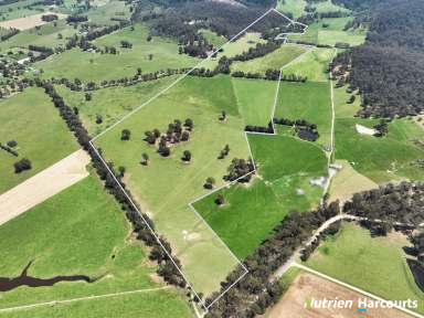 Farm For Sale - VIC - Toongabbie - 3856 - 100 Acre Rural allotment  (Image 2)