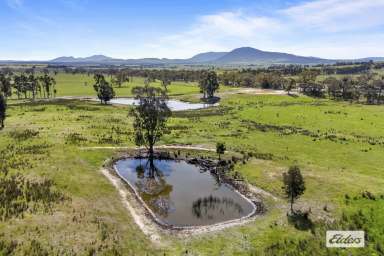 Farm For Sale - VIC - Beaufort - 3373 - Discover Your Affordable Dream Lifestyle Block  (Image 2)