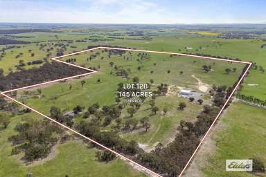 Farm For Sale - VIC - Beaufort - 3373 - 145 Acres Mountain Views With Large Shed  (Image 2)