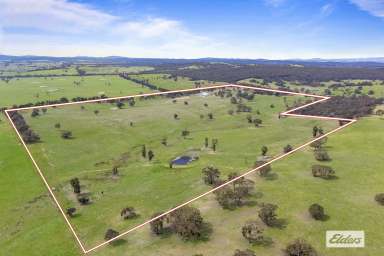 Farm For Sale - VIC - Beaufort - 3373 - 145 Acres Mountain Views With Large Shed  (Image 2)