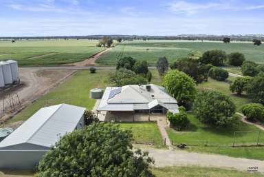 Farm For Sale - VIC - Bungeet West - 3726 - A opportunity to secure some of Victoria's best Cropping Country  (Image 2)