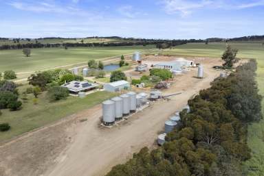 Farm For Sale - VIC - Bungeet West - 3726 - A opportunity to secure some of Victoria's best Cropping Country  (Image 2)