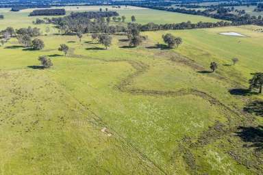 Farm For Sale - VIC - Lurg - 3673 - Versatile Farming Land For Sale  (Image 2)