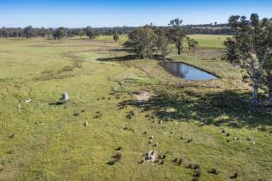 Farm For Sale - VIC - Lurg - 3673 - Versatile Farming Land For Sale  (Image 2)