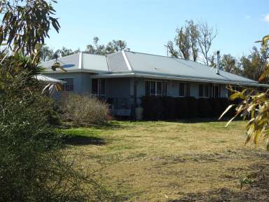 Farm For Sale - QLD - Dalby - 4405 - Superb Lifestyle block with farming and cattle!  (Image 2)