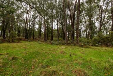 Farm For Sale - Vic - Darnum - 3822 - 4.48 Acres of Natural Bushland  (Image 2)