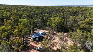 Farm For Sale - NSW - Turrawan - 2390 - 272 ACRES - ONLY $195,000  (Image 2)