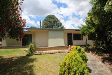 Farm For Sale - QLD - Thorndale - 4380 - FANTASTIC ACREAGE PROPERTY  (Image 2)