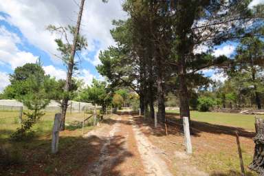 Farm Sold - QLD - Thorndale - 4380 - FANTASTIC ACREAGE PROPERTY  (Image 2)