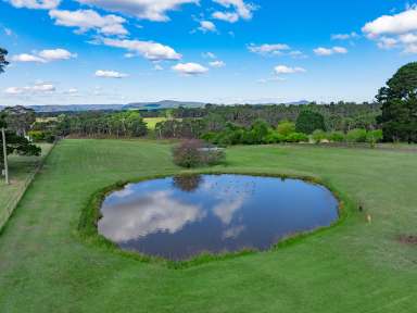 Farm For Sale - NSW - Wallerawang - 2845 - Serene Mountain Escape with Endless Water Supply  (Image 2)