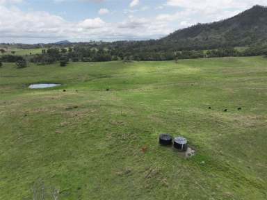 Farm For Sale - QLD - Tablelands - 4680 - The Tops, Tablelands  (Image 2)