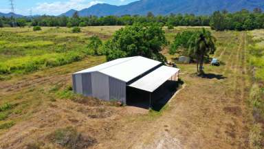 Farm For Sale - QLD - Kennedy - 4816 - Large Rural Block $550K  (Image 2)