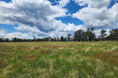 Farm For Sale - NSW - Armidale - 2350 - Perfect lifestyle farm in an ideal location  (Image 2)