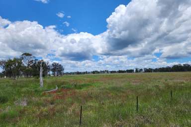 Farm For Sale - NSW - Armidale - 2350 - Perfect lifestyle farm in an ideal location  (Image 2)