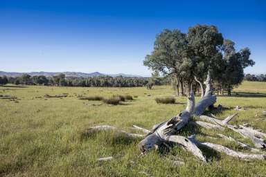 Farm For Sale - VIC - Molyullah - 3673 - Rare Opportunity to purchase 300 acres of Rising Molyullah Country  (Image 2)