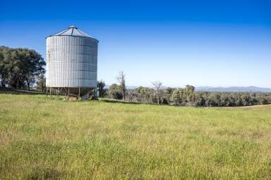 Farm For Sale - VIC - Molyullah - 3673 - Rare Opportunity to purchase 300 acres of Rising Molyullah Country  (Image 2)