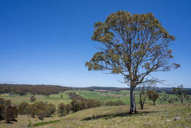 Farm Auction - NSW - Chatham Valley - 2787 - "Millers Hill" - Panoramic views with Duckmaloi River Frontage!!  (Image 2)