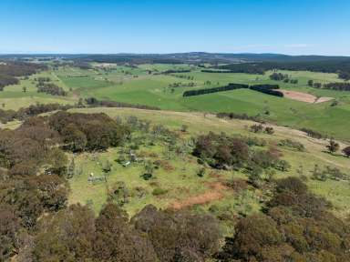 Farm Auction - NSW - Chatham Valley - 2787 - "Millers Hill" - Panoramic views with Duckmaloi River Frontage!!  (Image 2)