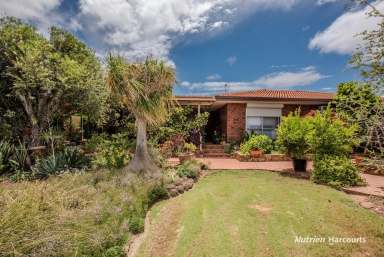 Farm For Sale - WA - Northampton - 6535 - 94 Horrocks Road, Northampton  (Image 2)