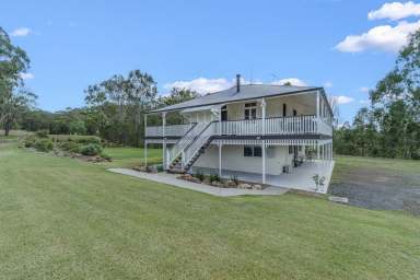 Farm Auction - QLD - Cainbable - 4285 - Stunning Queenslander on 22.99ha (56.7ac) with Creek Frontage!  (Image 2)