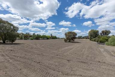 Farm For Sale - VIC - Horsham - 3400 - Prime Acreage in Town – Rare Opportunity!  (Image 2)