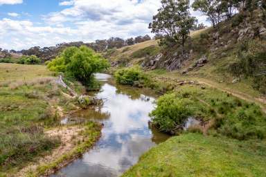 Farm For Sale - NSW - Rylstone - 2849 - Lower Darly Oak  (Image 2)