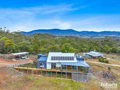 Farm For Sale - TAS - Bicheno - 7215 - Spectacular Off-Grid Haven  (Image 2)