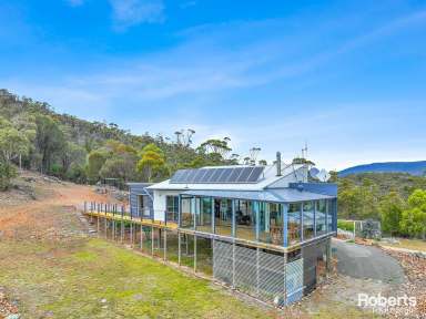 Farm For Sale - TAS - Bicheno - 7215 - Spectacular Off-Grid Haven  (Image 2)