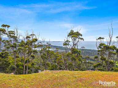 Farm For Sale - TAS - Bicheno - 7215 - Spectacular Off-Grid Haven  (Image 2)